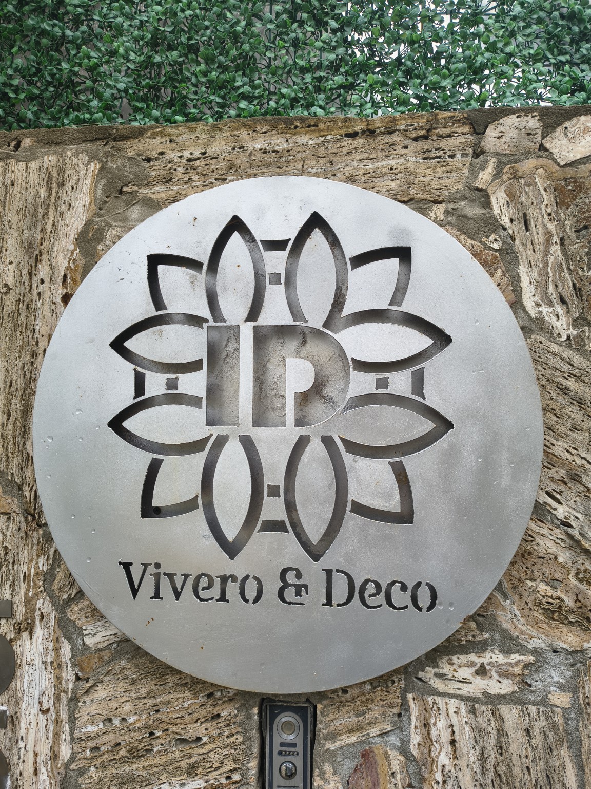 Plantas decorativas